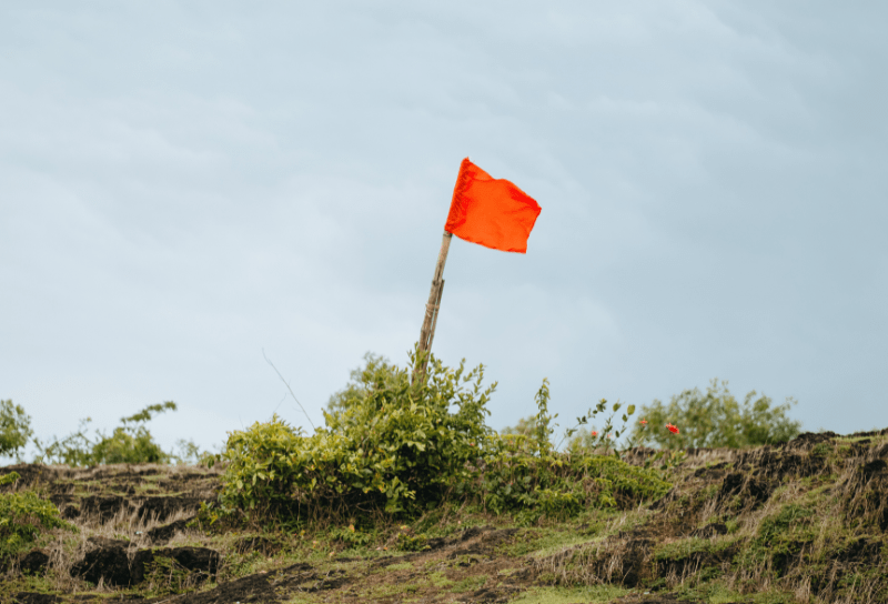 Eine rote Fahne auf einer Düne